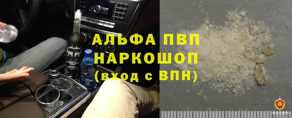 индика Нефтегорск