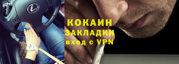 индика Нефтегорск