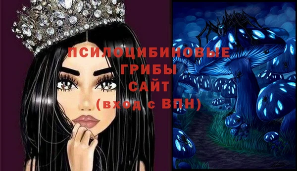 mix Нея