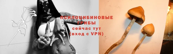 твердый Нефтекумск