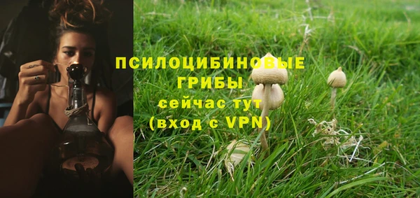 mix Нея