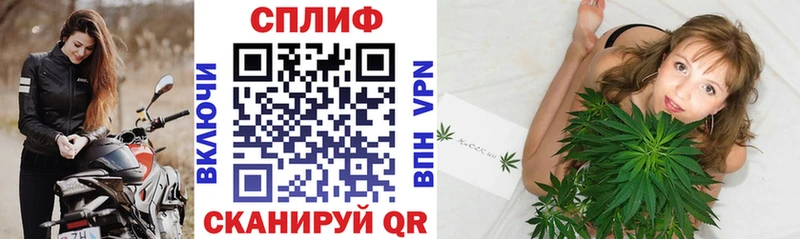 Шишки марихуана Ganja Алагир
